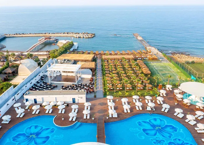 Rubi Platinum Sign *