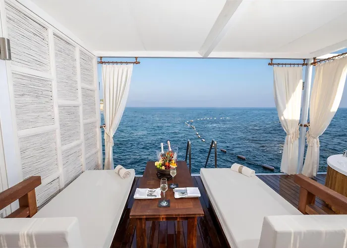 Rezort Rubi Platinum Sign *