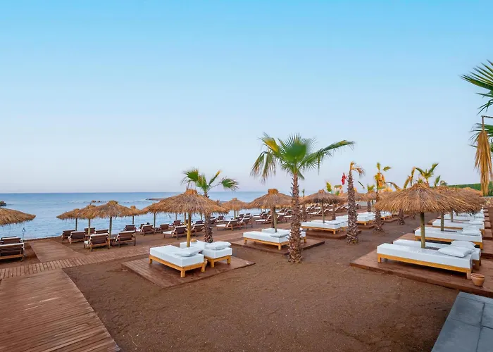 Rubi Platinum Sign Avsallar