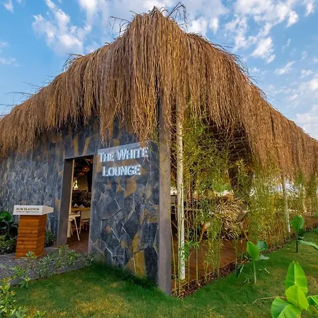 Rubi Platinum Sign *