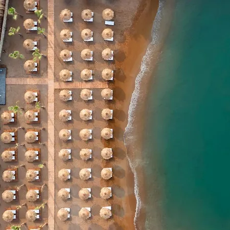 Rubi Platinum Sign * 阿萨拉尔