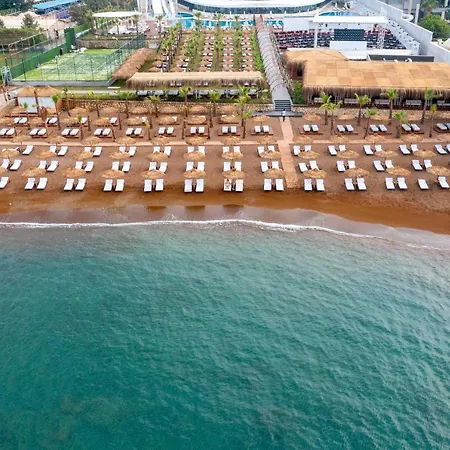 Rubi Platinum Sign *