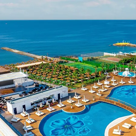 Rubi Platinum Sign Avsallar