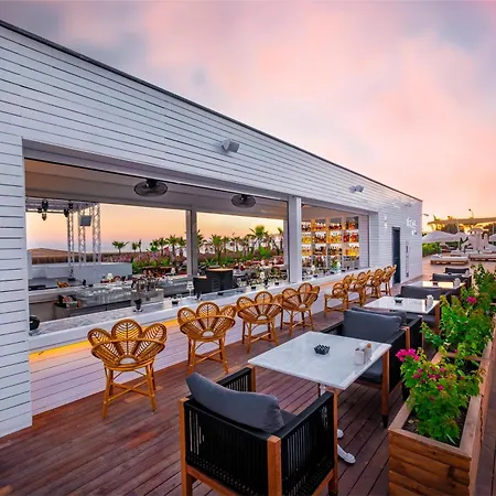 Rubi Platinum Sign * Avsallar