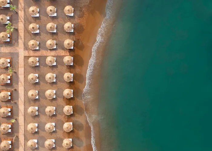 Resort Rubi Platinum Sign *