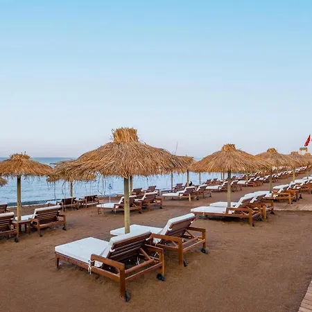 Rubi Platinum Sign *