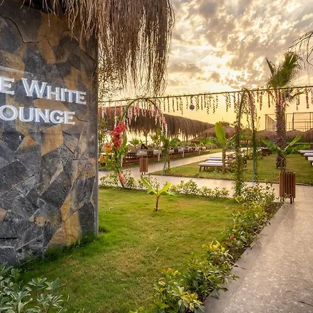 Rubi Platinum Sign * Avsallar